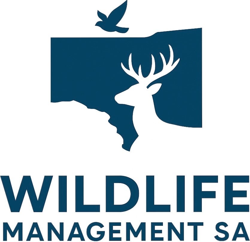 536697D6-0718-4C05-BAD3-9A6972C59F69